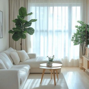 Cần Cô Giúp Việc Nhà Ở Thủ Đức - Nấu Ăn, Giặt Đồ Lương 12tr