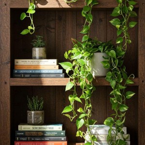 Nhà 1 trệt 1 lầu quận 8 - cần giúp việc nhà lương 8tr