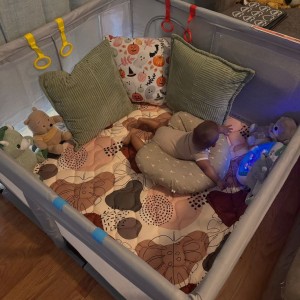 Nhà em bé đã được 10 tháng ở chung cư Tera Royal- Quận 3- bao ăn ở