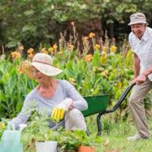 Cần nam làm vườn tại Bình Dương