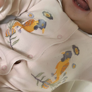 Cần chị chăm bé nhỏ 8 tháng, ở quận 1 gần Thảo Cầm Viên ,lương 13 triệu.