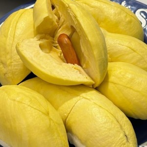 Căn hộ Quận 2, gia đình 3 người, không bé