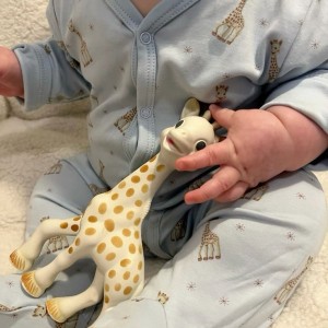 Cần cô chăm bé 5 tháng – làm ăn ở lại quận 6