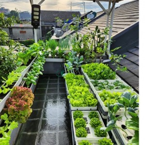 Tìm cô giúp việc ở lại đường Nguyễn Văn Quá, Phường Đông Hưng Thuận, Quận 12