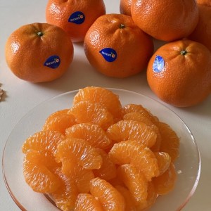 Nhà 1 trệt ở gần chợ Thới Tứ - Hóc Môn