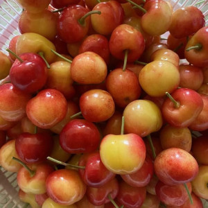 Chị cần người từ 40-50 tuổi, người Bắc, làm ở Gò vấp .Lương khởi điểm: 10tr/ tháng. ( bao ăn ở )