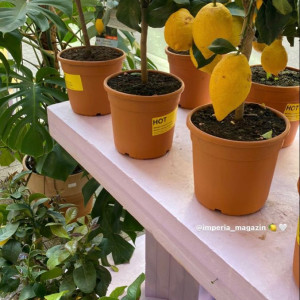 Tuyển dụng giúp việc nhà Bình Thạnh - Lương 13 triệu + phụ cấp